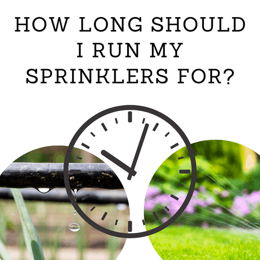 How Long Should I Run My Sprinklers For?